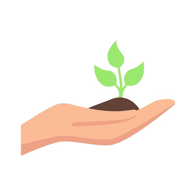 La mano tiene la pianta verde con il suolo