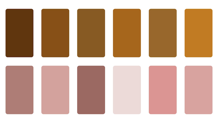 Vettore la palette di colori è marrone e marrone