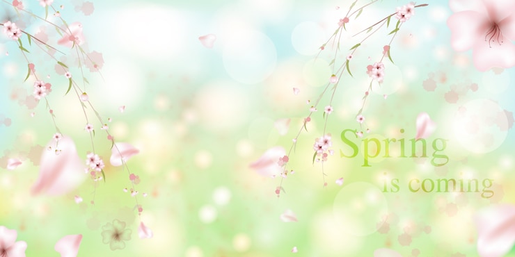 Vettore la primavera sta arrivando. petali di sakura che cadono. bellissimo sfondo rosa con ramo di fiori di ciliegio.