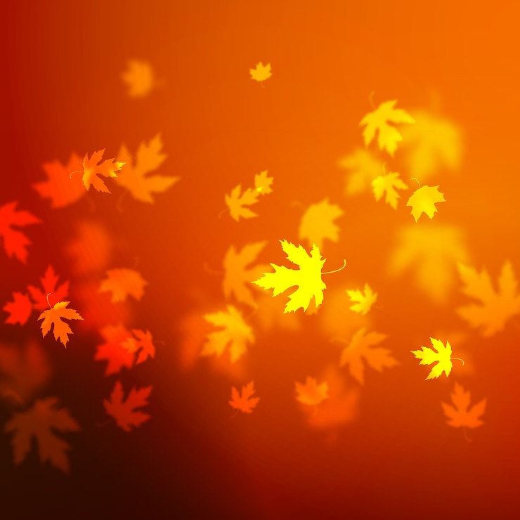 Vettore la progettazione del fondo delle foglie di autunno di vettore, unfocused ha offuscato l'illustrazione rossa delle foglie di acero