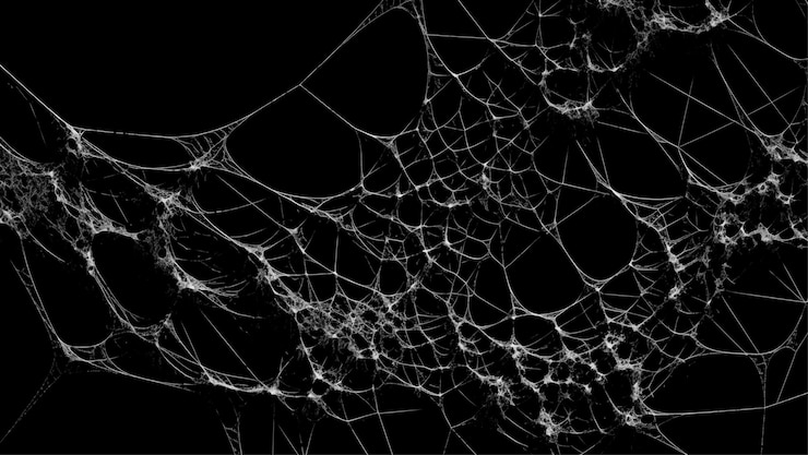 Vettore la spaventosa rete di ragno copre uno sfondo nero abstract