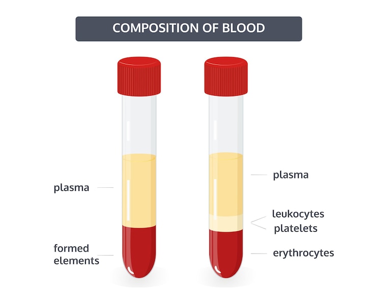 Vettore la struttura del sangue nelle provette formata elemento di sangue illustrazione vettoriale