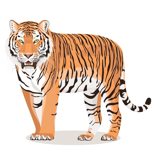 La tigre di Amur o tigre di Ussuri è la tigre più rara e più grande del pianeta
