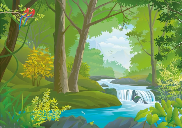 La tranquilla cascata della foresta pluviale