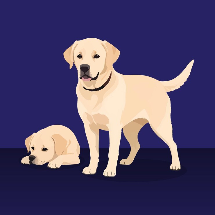 Vettore labrador dog cartoon vector icon illustrazione logo del cane animale