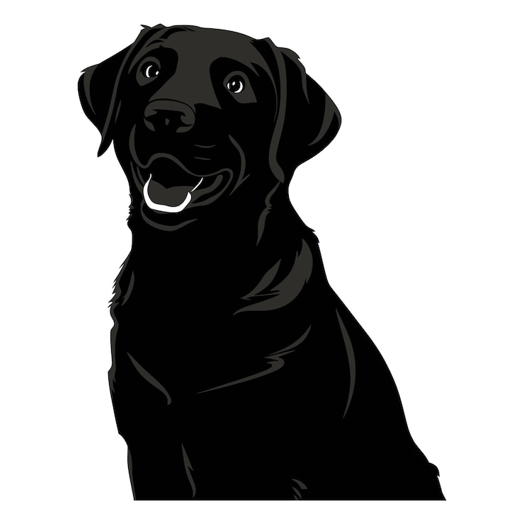 Vettore labrador retriever cane set silhouette vettore nero su sfondo bianco