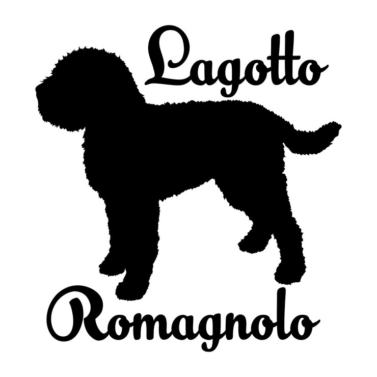 Vettore lagotto romagnolo silhouette cane cane razze logo vettore love me love my dog silhouette