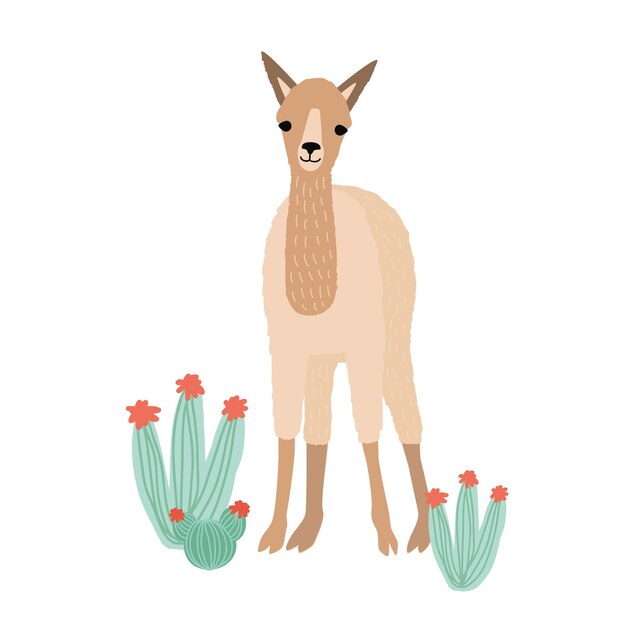 Lama adorabile, cria o alpaca isolati su bianco