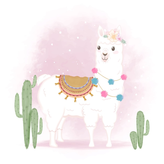 Lama e cactus svegli, illustrazione disegnata a mano