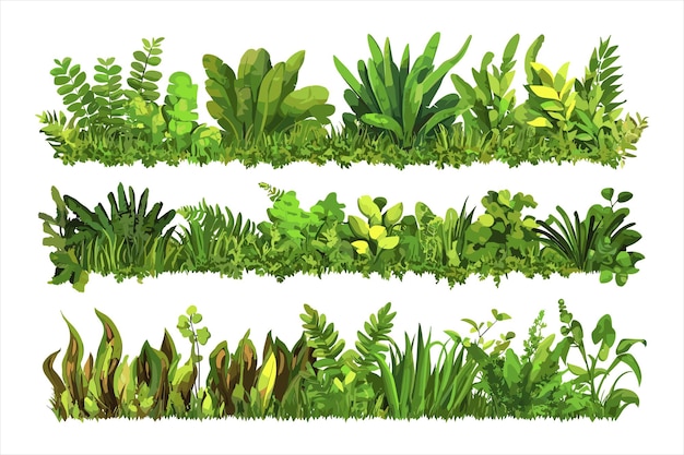 le piante che sono verdi e l'altra è verde