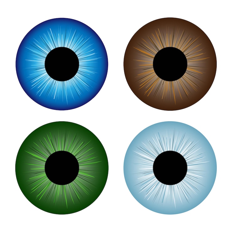 Vettore le pupille dell'iride dei bulbi oculari umani hanno colori assortiti