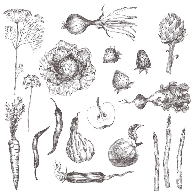 Le verdure hanno messo l'illustrazione di schizzo