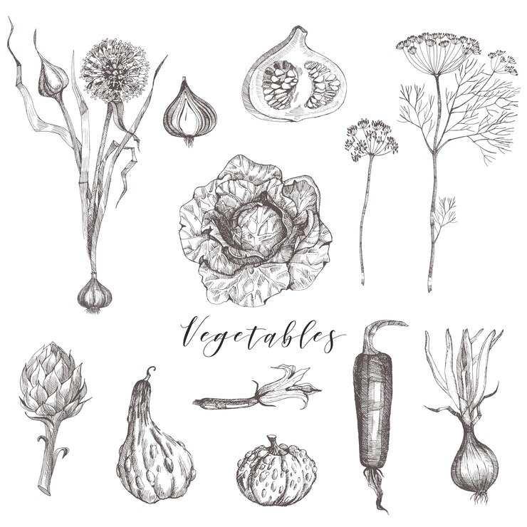 Le verdure hanno messo l'illustrazione di schizzo