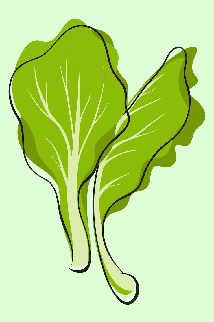 Vettore leafy green (foglia verde)