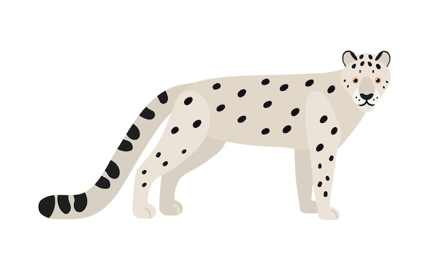 Leopardo delle nevi o oncia isolato su sfondo bianco. Splendido animale carnivoro esotico asiatico con mantello maculato. Grazioso grande gatto selvatico o felino. Illustrazione vettoriale colorata in stile cartone animato piatto.