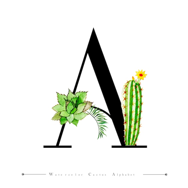 Lettera di alfabeto Un cactus dell&#39;acquerello lascia il fondo