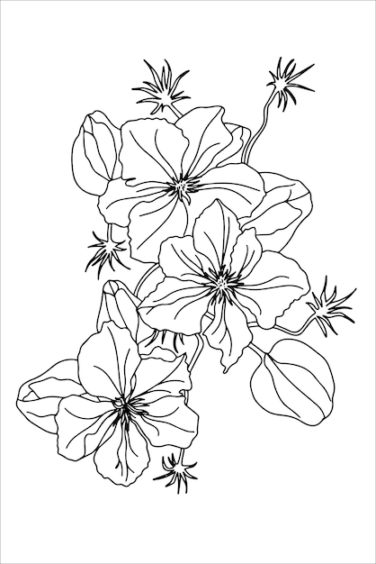 Liana dei fiori di climatis in stile doodle libro da colorare con fiori per bambini e adulti