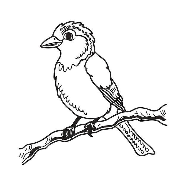 Libro da colorare di un uccello seduto su un ramo