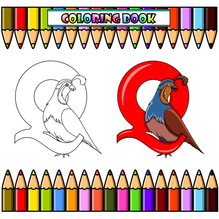 Vettore libro da colorare illustrazione della lettera q per quaglia