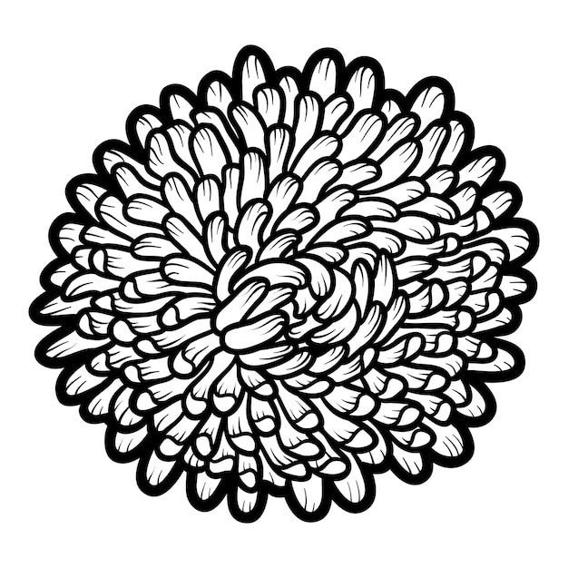 Libro da colorare per bambini, fiore Aster