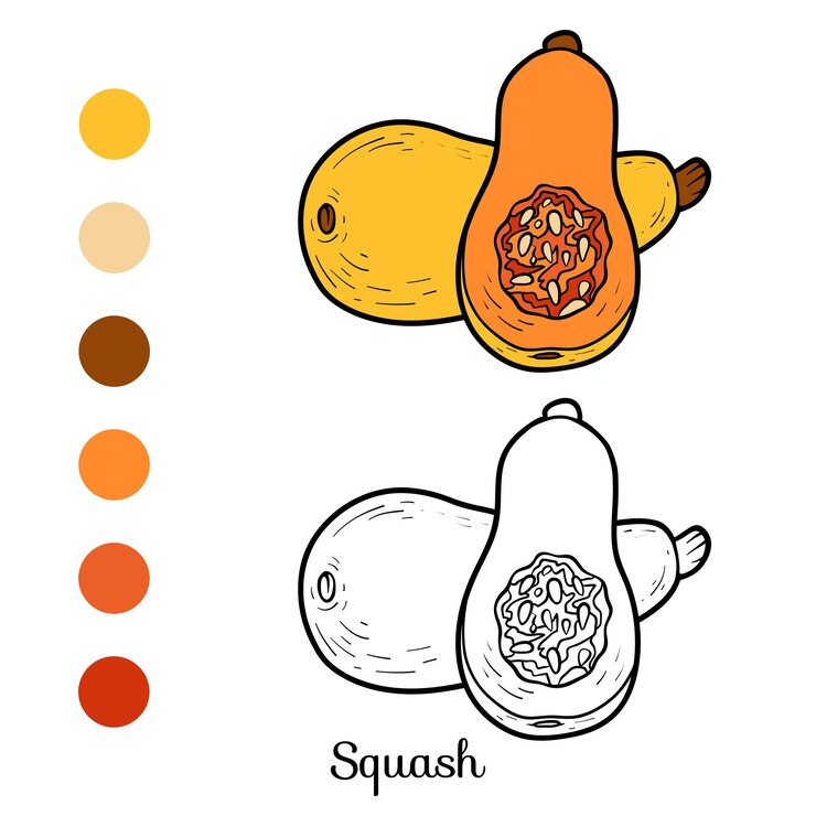 Vettore libro da colorare per bambini, squash