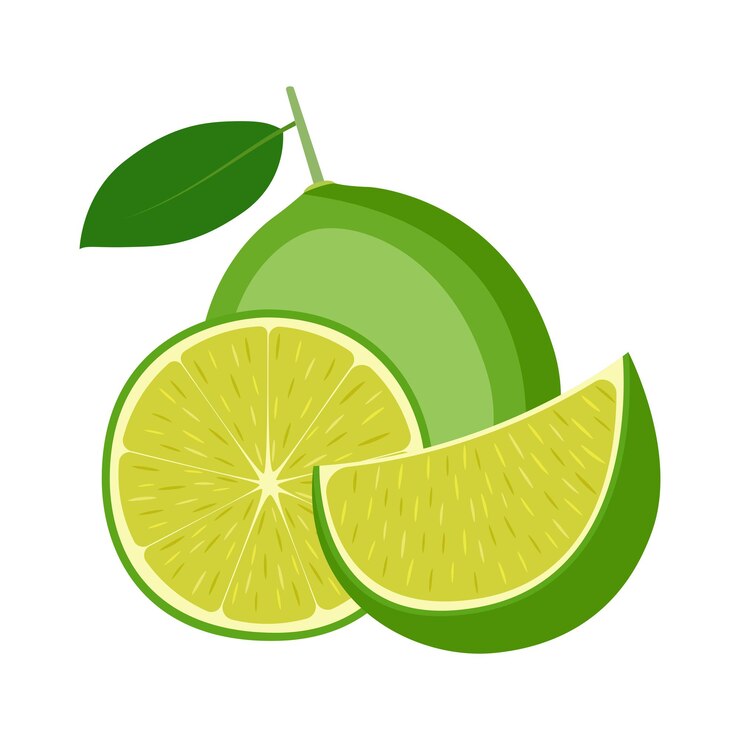 Vettore lime, frutta intera, metà e fetta, su sfondo bianco, illustrazione vettoriale