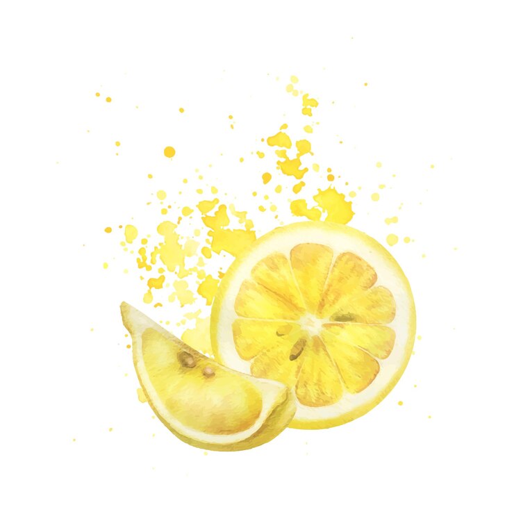 Vettore limoni gialli con spruzzi di succo fette rotonde e quarti con semi acquerello disegnato a mano