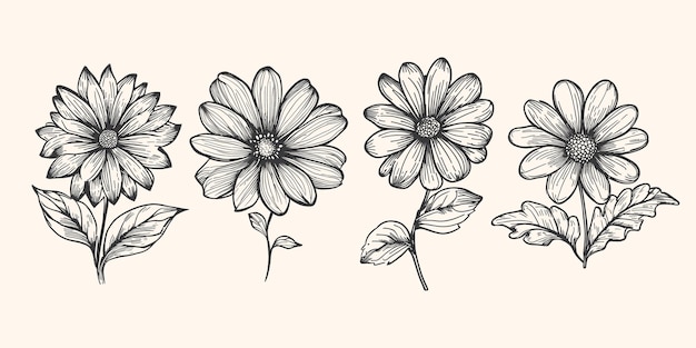 Line art del set di fiori
