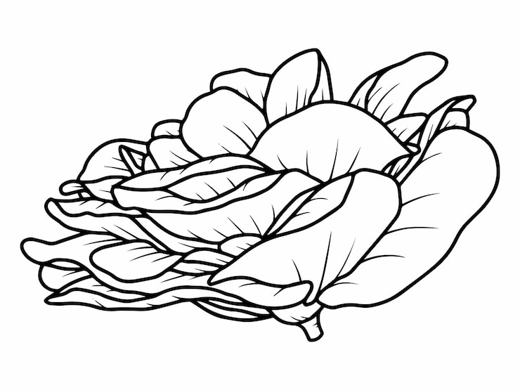 Vettore linea arte schizzo fiore rosa
