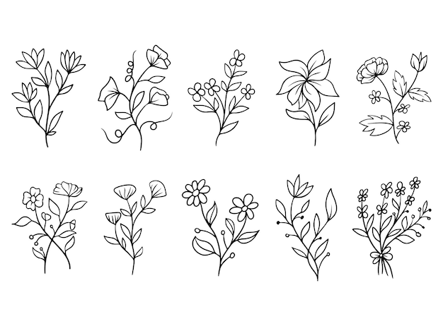 Linea artistica di fiori di campo botanico