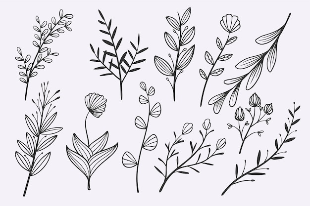 LINEA FIORI12