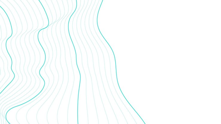 Linee di fondo