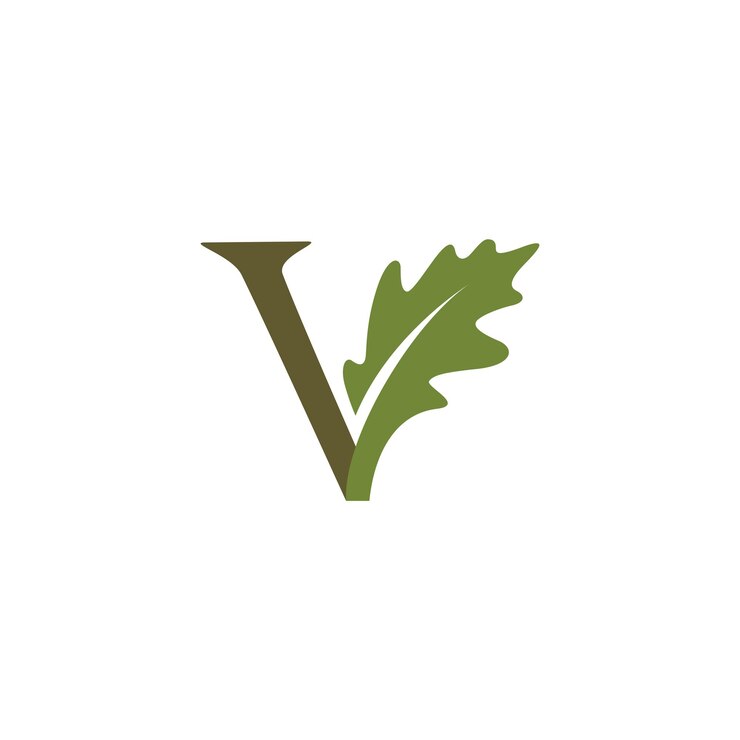 Logo a lettera V a foglia di quercia Illustrazione semplice e pulita