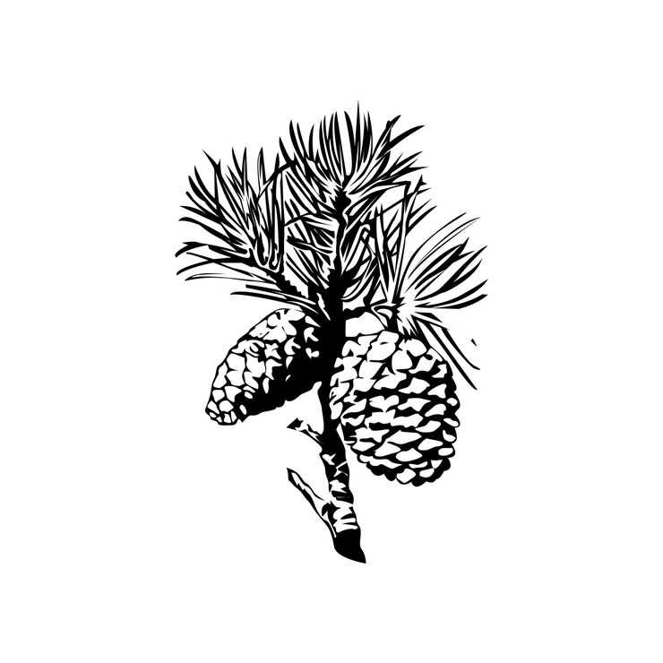 Vettore logo del cono di pino