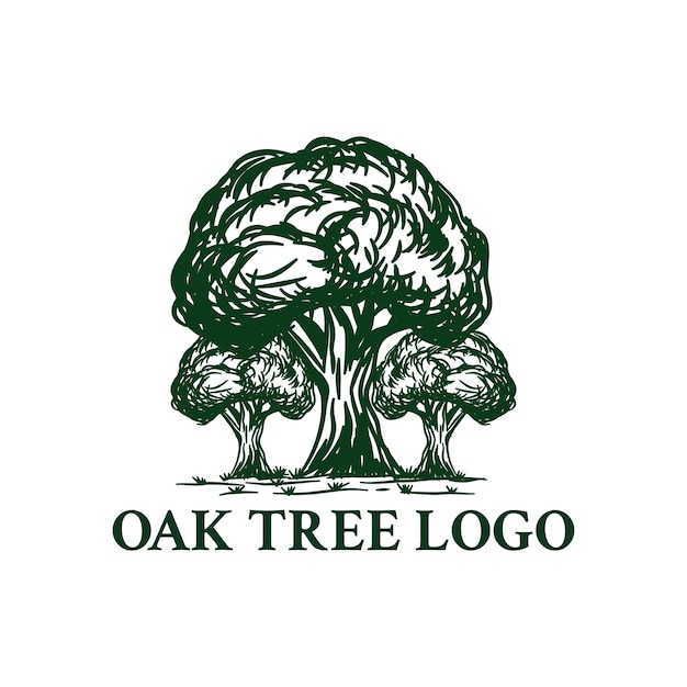 logo dell'albero di quercia disegnato a mano vintage