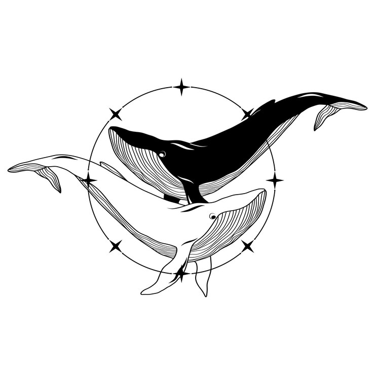 Vettore logo della silhouette della balena con un'arte vettoriale balena