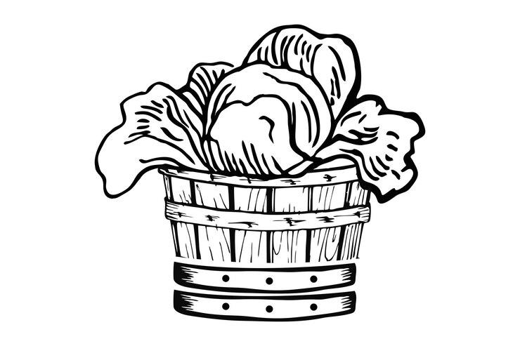 Vettore logo design di alimenti biologici e verdure fresche
