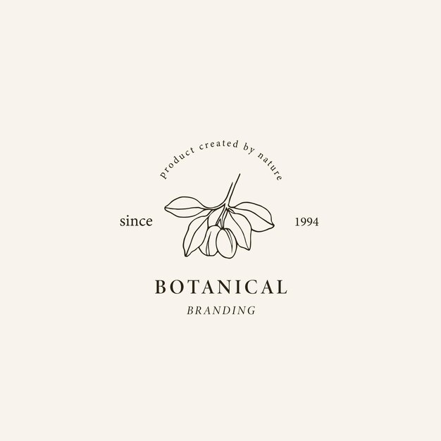 Logo di copaiba line art Disegno botanico