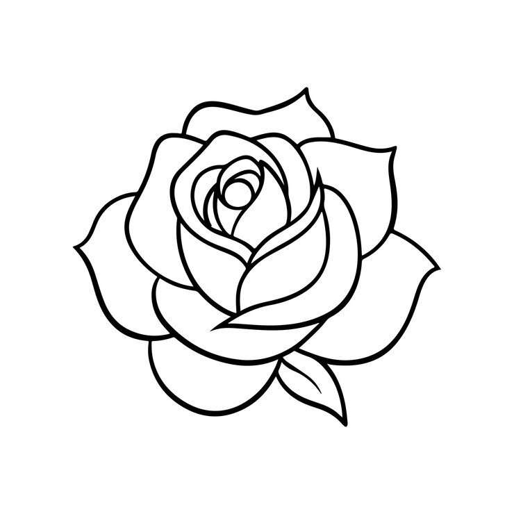 Vettore logo di rose design eps file