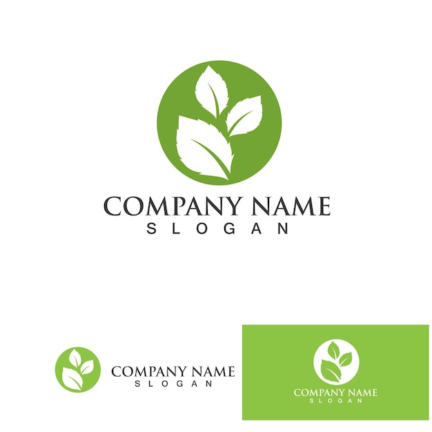Logo e simbolo verde foglia vettore