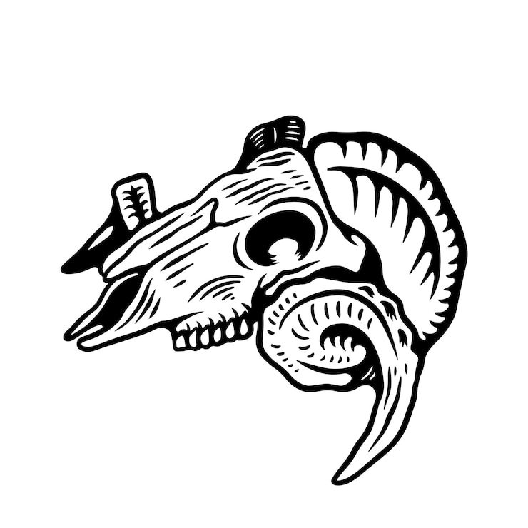 Vettore logo skull skat