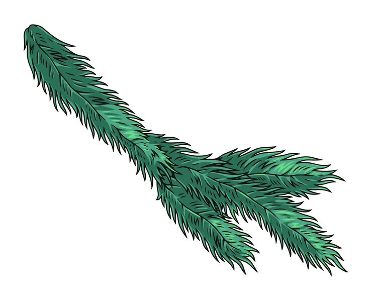 Vettore logotipo di ramoscello di albero conifero colorato