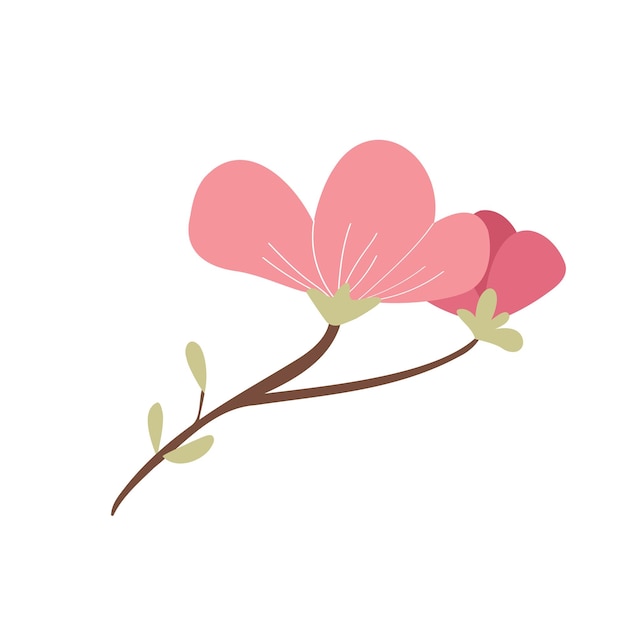 Magnolia rosa con foglie su un ramo disegnato a mano Una pianta di cartone animato colorato Illustrazione vettoriale piatta di un fiore asiatico su uno sfondo bianco isolato Elemento di design decorativo in fiore