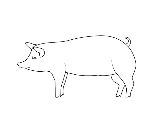 Maiale in stile disegnato a mano isolato su fondo bianco