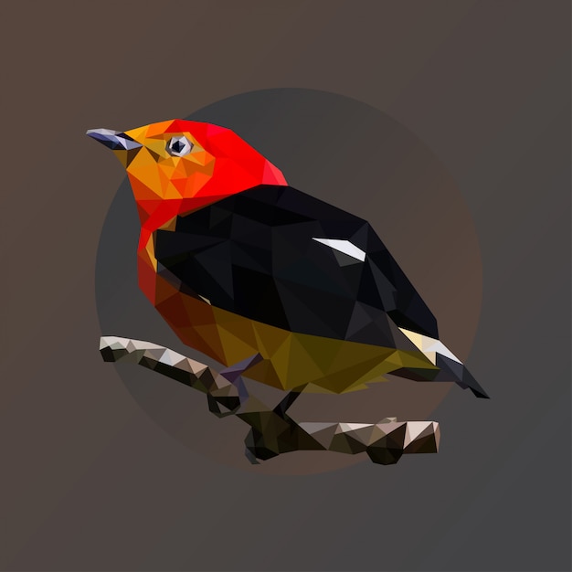 Manakin Bird su Low Poly Art