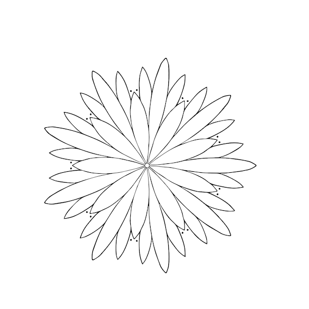Mandala del fiore bianco floreale della dalia