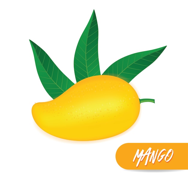 Mango frutta fresca, illustrazione.