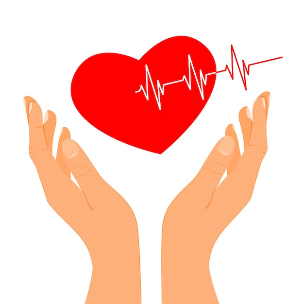 Mani umane in forma di cuore rosso con linea ecg
