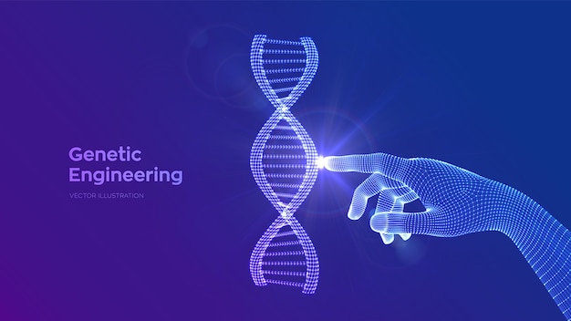 Mano che tocca la maglia della struttura delle molecole di sequenza del DNA. Modello modificabile di codice DNA wireframe. Ingegneria genetica.