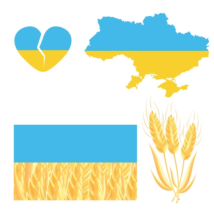 Vettore mappa dell'ucraina bandiera dell'ucraina spighe di grano simboli della nazionegiallo e blu